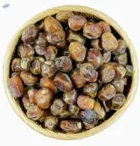 Barhi Date