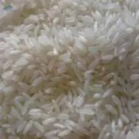 White Rice-ir64