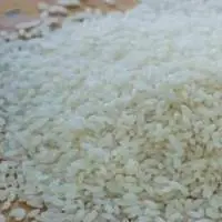 Seeraga Samba Rice