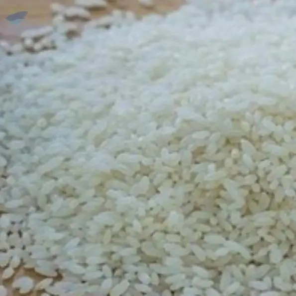 Seeraga Samba Rice