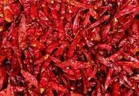 Red Chilli