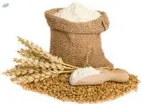 All Purpose Wheat Flour/refined Flour