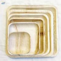 Palm Leaf Plates Square