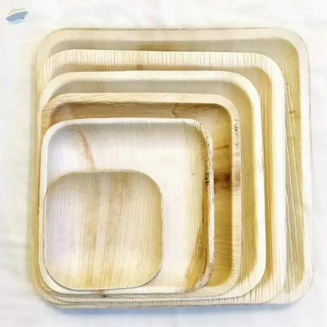 Palm Leaf Plates Square