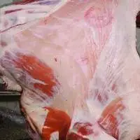 Halal Top Quality Meat / Halal Frozen Beef Meat