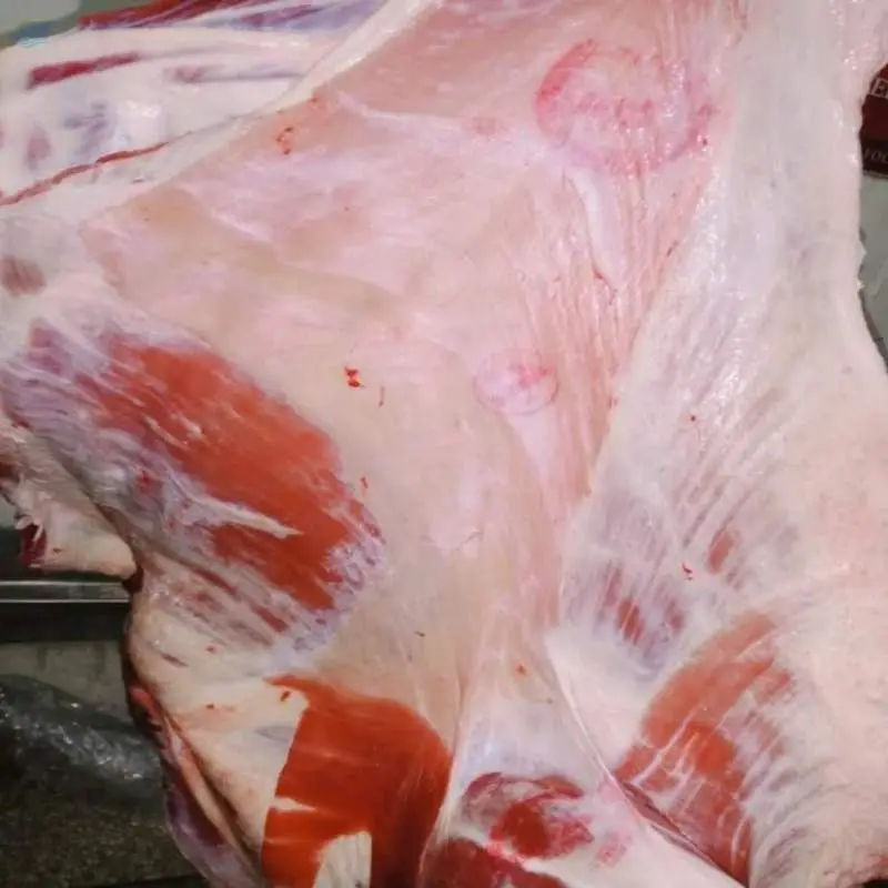Halal Top Quality Meat / Halal Frozen Beef Meat