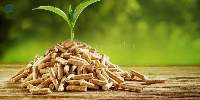 DIN+ Wood Pellets 