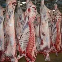 Halal Certified Frozen Beef Meat And Parts