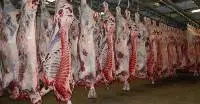 Argentine Approve Slaughter House Frozen Beef