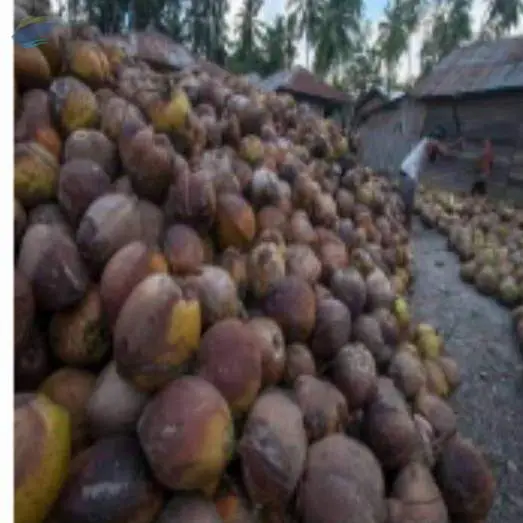 Dry And Wet Coconut