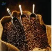 Kinds Of Coffee Beansand Ground Coffee