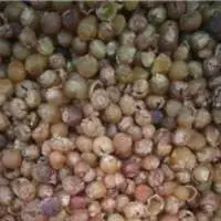 Soap Nuts ( Reetha)