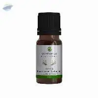 Chamomile Essential Oil