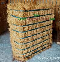 Coconut Husk Fiber Block