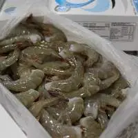 Shrimp Vannamei 41/50