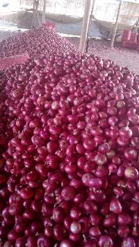 Red Onion
