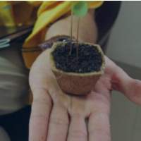 Coir Products