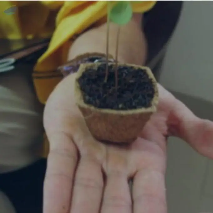 Coir Products