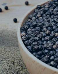 Black Pepper