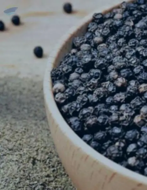 Black Pepper