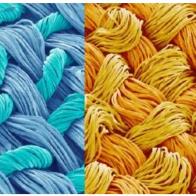 Textile Fiber