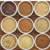 Grains