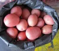 Premium Medium Red Potatoes