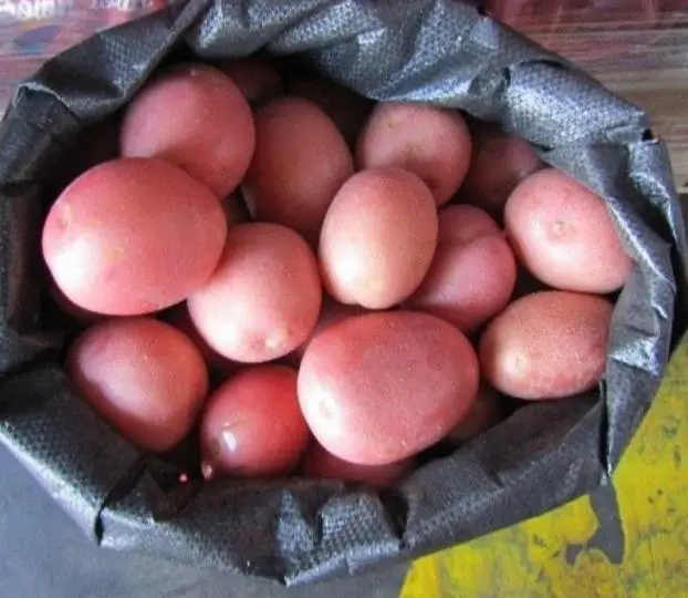 Premium Medium Red Potatoes