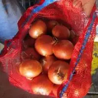 20kg No. 1 Premium Brown Onion