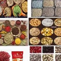 All Kinds of Pulses, Spices, Cereals