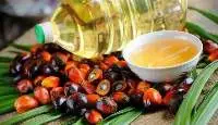 Edible Oils