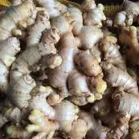 Fresh Ginger