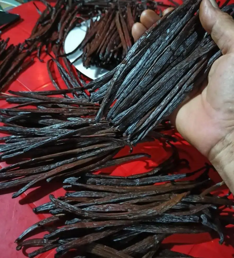 Vanilla Planifollia Gourmet