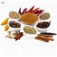 SPICES