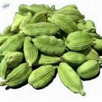 Green Cardamom