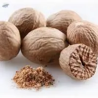 Nutmeg