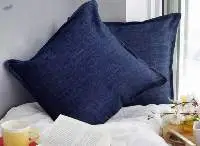 Cushion