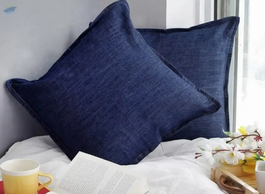 Cushion