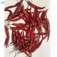 Teja Red Chilli
