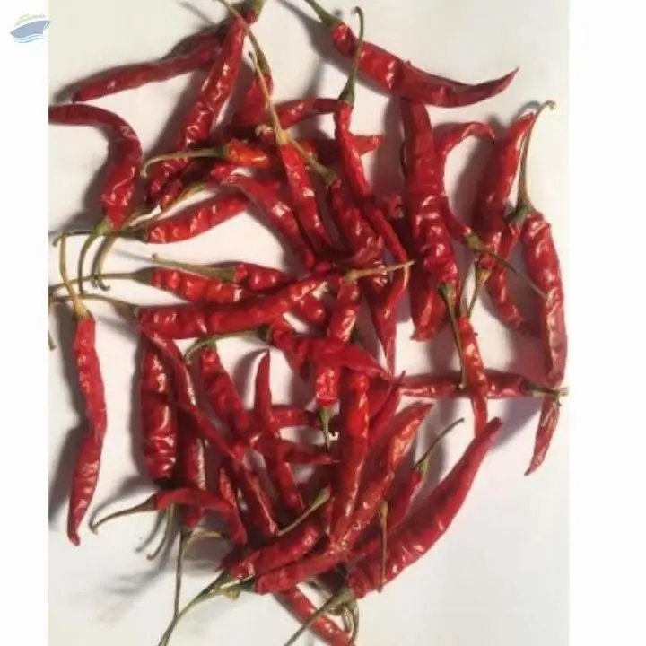 Teja Red Chilli