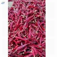 Red Chilli / Long