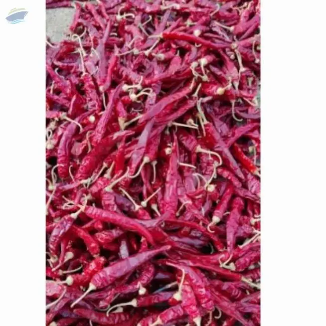 Red Chilli / Long