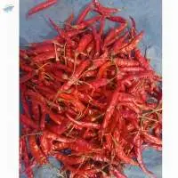 Red Chilly/S4-Sannam Chilli