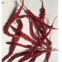 Red Chilly/Byadgi-Wrinkled	