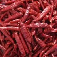 Red Chilly/WonderHot