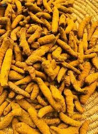 Turmeric