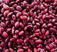 Red Kidney Beans