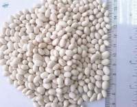 White Pea Beans