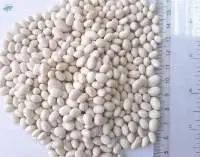 White Pea Beans