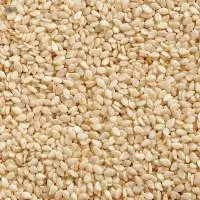 Sesame Seeds